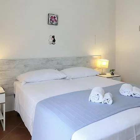 Mia Palace 3*